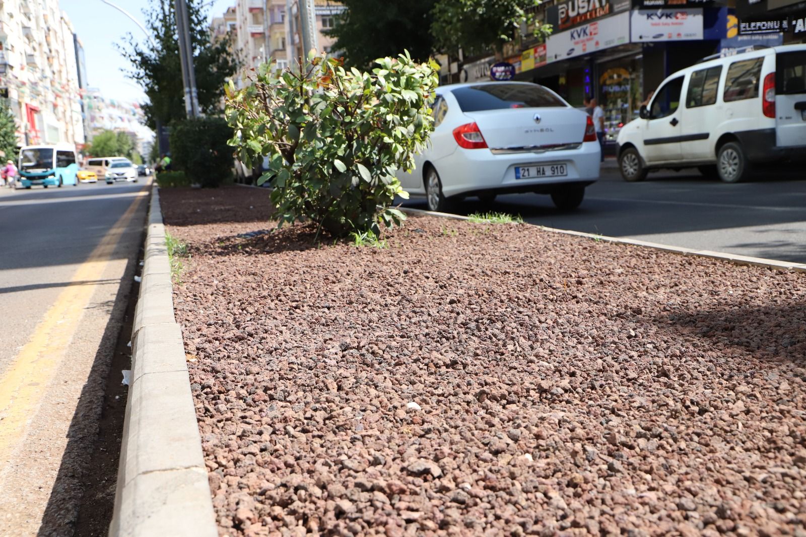 Diyarbakır'da "kuru peyzaj" ile su tasarrufu sağlandı