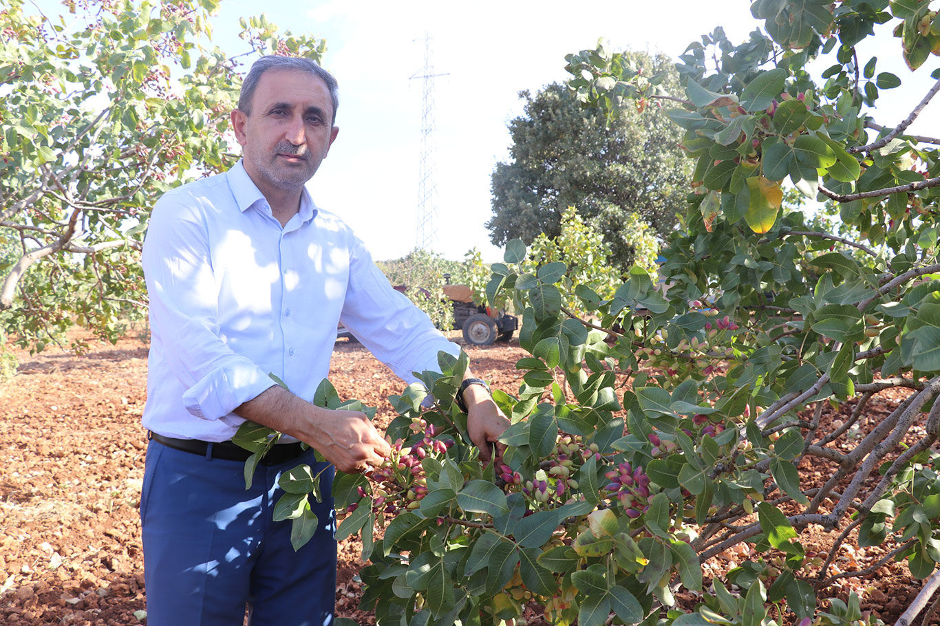 HÜDA PAR Milletvekili Demir: Fıstık üretimindeki mağduriyetler giderilmelidir