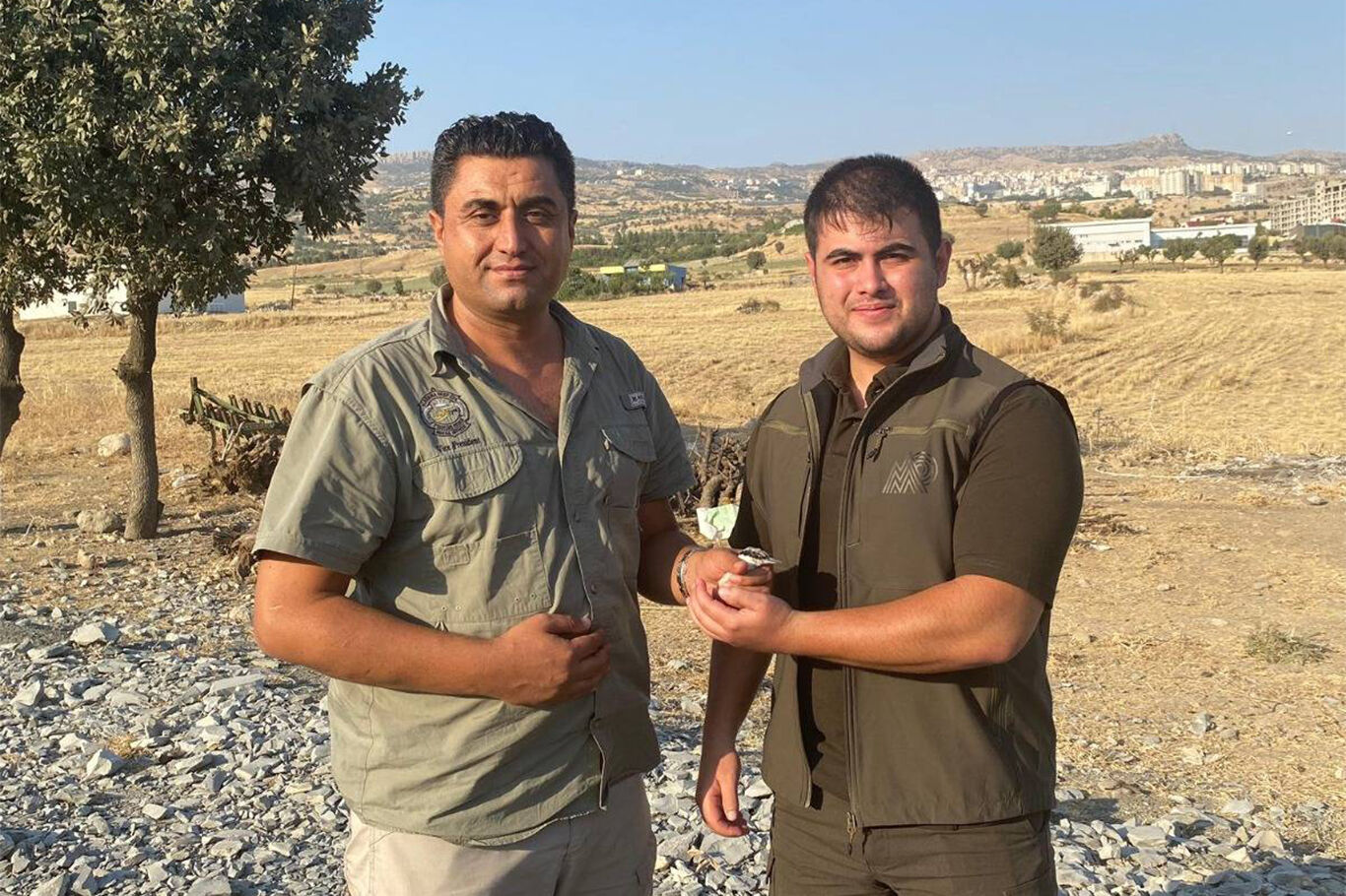 Şırnak'ta Kaya Sıvacı ve Gökdoğan kuşları tedavi altına alınarak doğaya bırakılacak