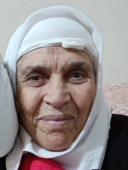 651169688 4187129231504602 3537916300327121995 N