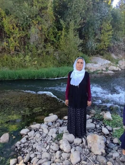 653584445 4189373477946844 4566686696033747006 N