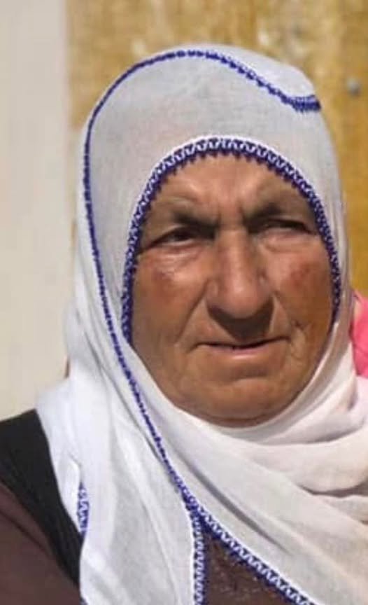 657680972 4202894879928037 6035460135940318161 N