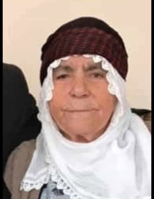 659127872 4203253306558861 7120612195963635987 N