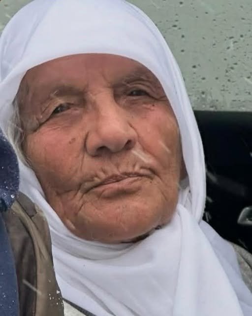 659500100 4203243329893192 9103904986268330585 N