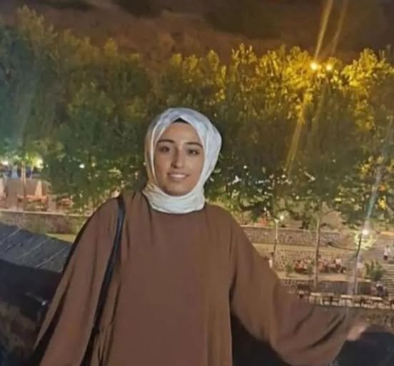 659500108 4203285286555663 1033454616163179244 N