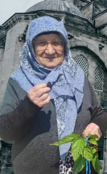 659026061 4205632226320969 4905514311630311895 N