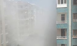 Görüntü-Diyarbakır’da halk sağlığı tehdit ediliyor!