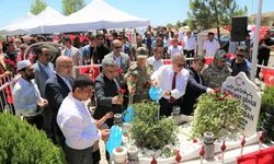 Vali Su, 15 Temmuz Şehidi Askeri Çoban'ın kabrini ziyaret etti.