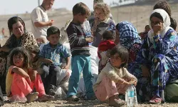 Türkiye'de 4,9 milyon göçmen yaşıyor
