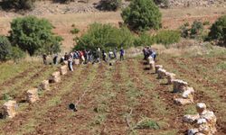 Ömerli’de patates hasadı sevinci, fiyat endişesi