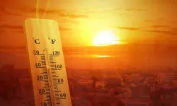 Güney Kore’de Sıcak Hava Dalgalanması: 17 Ölü, 73 Yaralı