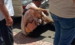 Diyarbakır'da bir patlama sonucu elektrik teknisyenleri yaralandı.