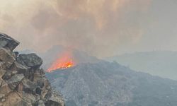 Kınık’ta Balya Makinesinin Yanması Orman Yangınına Neden Oldu