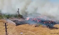 Şanlıurfa'da saman balyaları kül oldu