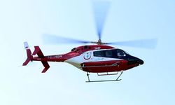 Hakkari’de yılanın ısırdığı kişi helikopterle hastaneye kaldırıldı
