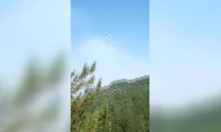 Bilecik'te çıkan orman yangınına havadan müdahale sürüyor
