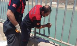 Şanlıurfa’da Sulama Kanalında Kadın Cesedi Şoku
