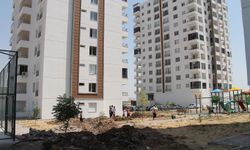 Söz verilen sitede yaşam mücadelesi