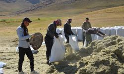 Şırnak'ın Faraşin Yaylası'nda besicilerin zorlu kış hazırlıkları!