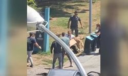Bir sokak köpeği vahşeti daha!