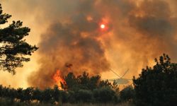 Çorum'da ormanlık alanda yangın 