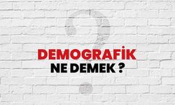 Demografik ne demek?