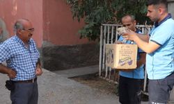 Depremde yıkılan binada kalan baykuş kurtarıldı