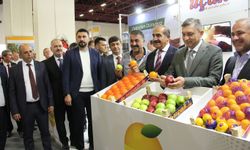 Avrupalı zincir marketler yaş meyve sebze almak için Antalya'da
