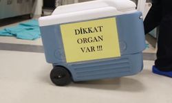 Bakan Koca, organ bağışının önemine vurgu yaptı