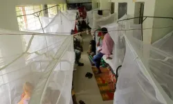 Bangladeş'te bir günde 21 kişi dang humması nedeniyle öldü