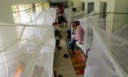 Bangladeş'te dang humması nedeniyle 778 ölüm