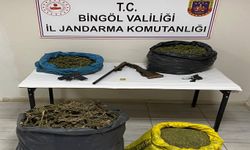 Bingöl’de narkoterör operasyonları