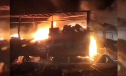 Diyarbakır-Şanlıurfa karayolunda tır alevlere teslim oldu