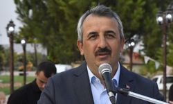Edirne Valisi Sezer'den başıboş köpek tepkisi