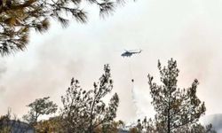 Gaziantep’in Nurdağı ilçesinde çıkan orman yangını söndürüldü