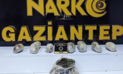 Gaziantep'te 3 kilo 300 gram skunk ele geçirildi