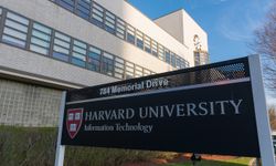 Harvard Üniversitesinden Kürtçe kursu