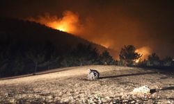 Hatay'da orman yangını