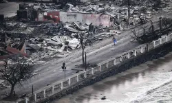 Hawaii'deki orman yangınlarında kayıp sayısı 66'ya düştü