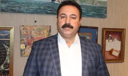 Hukukçu Sayan: Darbe anayasası, Türkiye'ye giydirilmiş bir deli gömleğidir