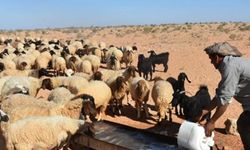 Irak'ta çobanların bastığı mayın patladı: 3 ölü
