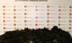 İstanbul'da 53 kilo insan saçı ele geçirildi