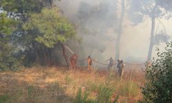 İzmir'de orman yangını