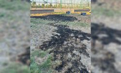 Millet Bahçesini ateşe veren şahıs yakalandı