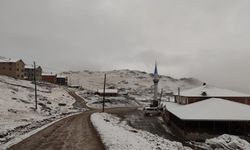 Rize'nin yüksek kesimlerine kar yağdı