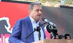Şanlıurfa Valisi Şıldak Suruç Atı ve Narı Festivaline (NARFEST) katıldı
