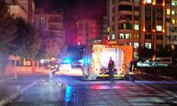 Şanlıurfa'da bıçaklı kavga: 1 yaralı