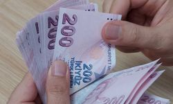  Sosyal ve Ekonomik Destek ödemeleri hesaplara yatırıldı