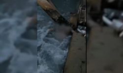 Sulama kanalında bulunan cesedin kimliği belli oldu