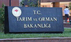 Tarım ve Orman Bakanlığı'ndan damızlık düve yetiştirme merkezi ve düve alım desteği